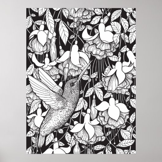 Kolibrie en fuchsia poster (Voorkant)