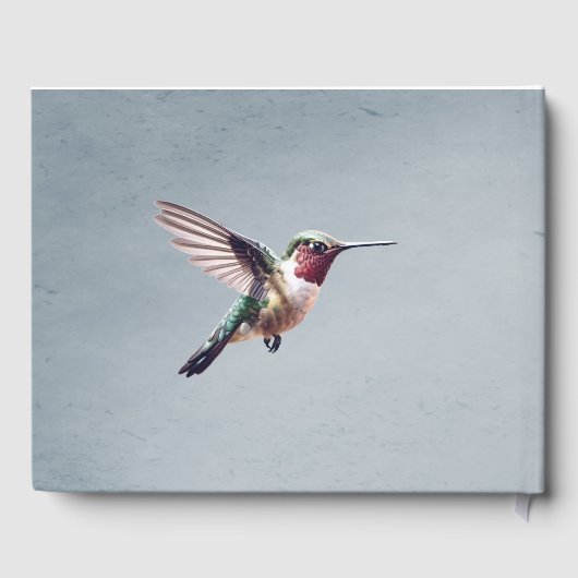 Kolibrie en Hibiscus bruiloft | Blauw Gastenboek (Achterkant)