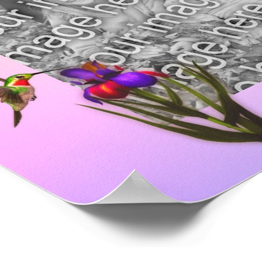 Kolibrie en iris bloem Creëer uw eigen Poster (Hoek)