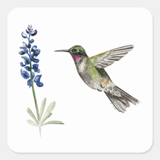 Kolibrie en Lupine Vierkante Sticker (Voorkant)