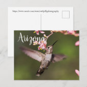 Kolibrie en roze bloemen, Arizona Briefkaart (Voorkant / Achterkant)