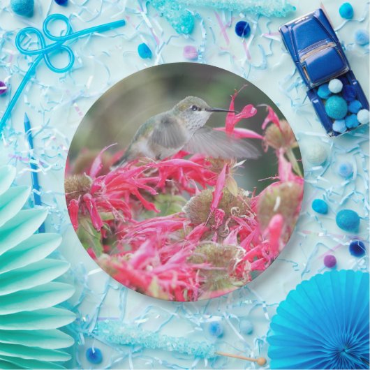 Kolibrie en roze bloemen papieren bordje (Feest)