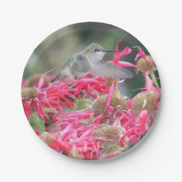 Kolibrie en roze bloemen papieren bordje