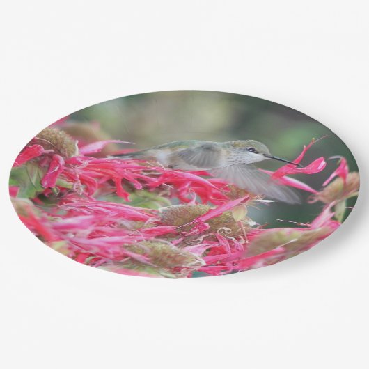 Kolibrie en roze bloemen papieren bordje (Gekanteld)