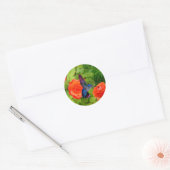 Kolibrie en Rozen Ronde Sticker (Envelop)