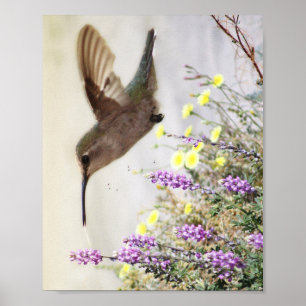 Kolibrie en Wilde Bloemen Digitale Kunst Poster