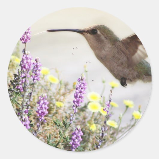 Kolibrie en wilde bloemen Digitale Kunst Ronde Sticker (Voorkant)