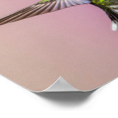 Kolibrie Fuchsia Foto Poster (Hoek)