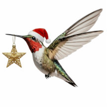 Kolibrie & Gouden Ster Vogel Kerst Ornament
