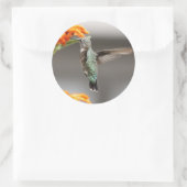 kolibrie grote sticker (Tas)