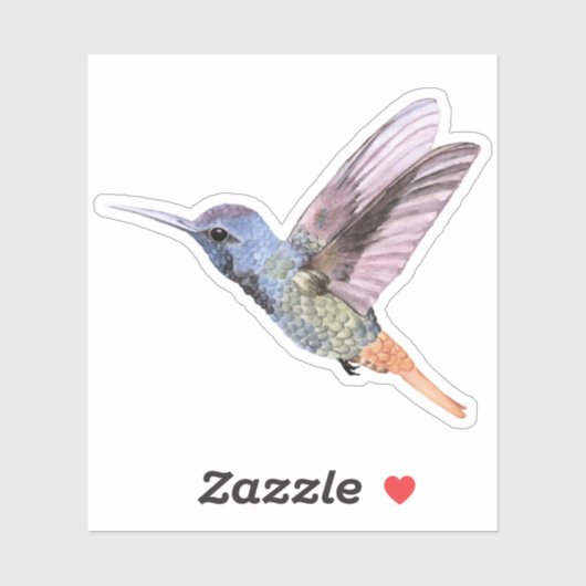 Kolibrie hand getekend sticker (Vel)