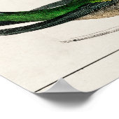 kolibrie illustratie poster (Hoek)