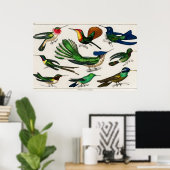 kolibrie illustratie poster (Thuiskantoor)