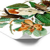  kolibrie illustratie poster (Hoek)