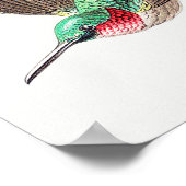  kolibrie illustratie poster (Hoek)