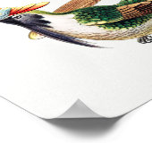  kolibrie illustratie poster (Hoek)