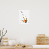 kolibrie illustratie poster (Keuken)