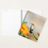 Kolibrie in de Adirondacks 2024 Planner (Display)