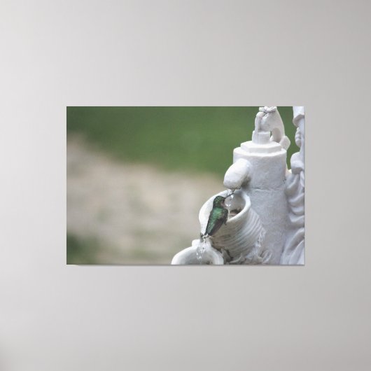 Kolibrie in de fontein canvas afdruk (Voorkant)
