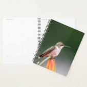 Kolibrie in de Hudson vallei 2024 Planner (Display)