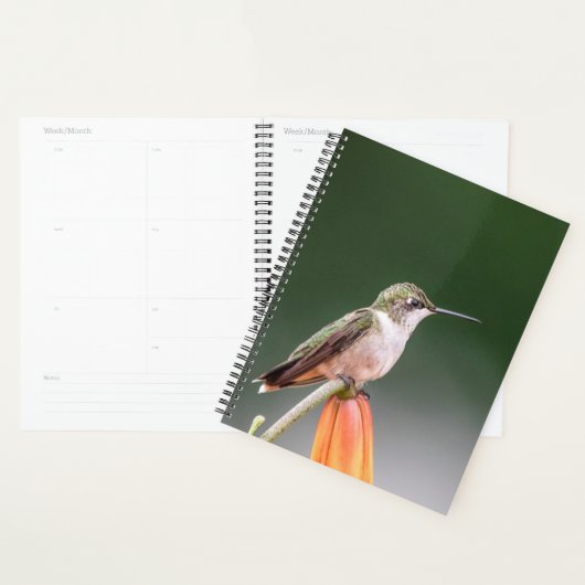 Kolibrie in de Hudson vallei 2024 Planner (Display)