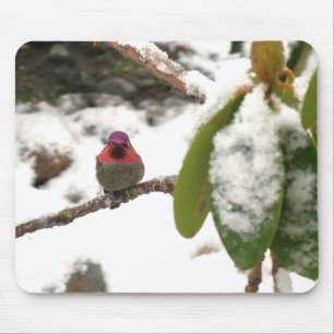 Kolibrie in de winter muismat