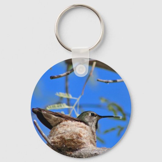 Kolibrie in een nest sleutelhanger (Voorkant)