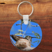 Kolibrie in een nest sleutelhanger (Voorkant)