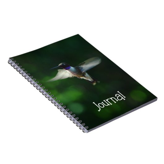  kolibrie in Flight Journal Notitieboek (Rechterzijde)