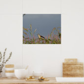 Kolibrie in Grassen Blauwe Lucht Aangepaste naam Poster (Keuken)