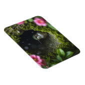 Kolibrie in het nest magneet (Rechterzijde)