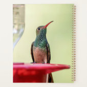 Kolibrie in Texas 2024 Planner (Achterkant)