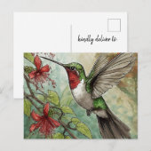 Kolibrie in vlucht met rode trompetwijnstok briefkaart (Voorkant / Achterkant)