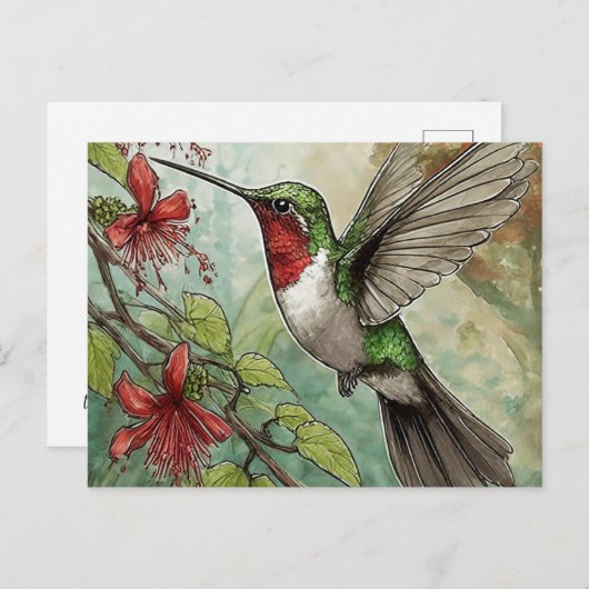 Kolibrie in vlucht met rode trompetwijnstok briefkaart (Voorkant / Achterkant)