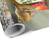 Kolibrie Inpakpapier (Rol Hoek)