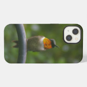 Kolibrie iPhone Hoesje (Achterkant horizontaal)