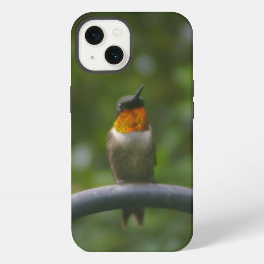 Kolibrie iPhone Hoesje (Achterkant)