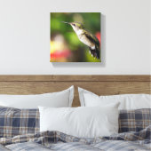 Kolibrie Juveniele Man Canvas Afdruk (Insitu (Slaapkamer))