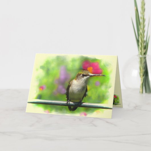 Kolibrie Kaart (Voorkant)