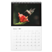 Kolibrie kalender door Valley Visions (Jan 2027)