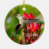 Kolibrie Kerst Ornament (Achterkant)