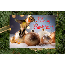 Kolibrie Kerstkaart Kaart