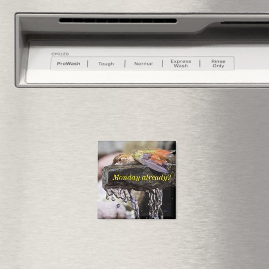 Kolibrie Legen in Water 2 Magneet (Insitu (Vaatwasser))