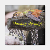 Kolibrie Legen in Water 2 Magneet (Voorkant)