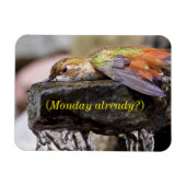 Kolibrie Legen in Water 2 Magneet (Horizontaal)