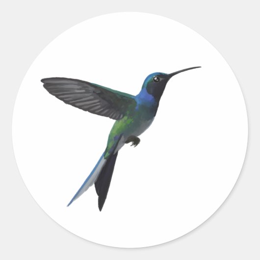 Kolibrie Liefhebber Ronde Sticker (Voorkant)