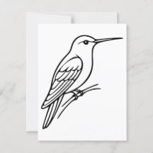 Kolibrie Lijnkunst – Vogel Illustratie