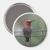 Kolibrie magneet Love's Point bijschrift (Voorkant / Achterkant)