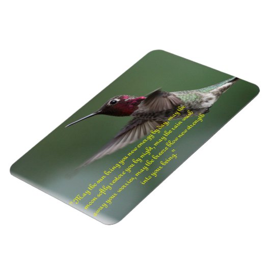 Kolibrie met Apache-Gezegde Magneet (Linkerzijde)