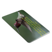 Kolibrie met Apache-Gezegde Magneet (Rechterzijde)